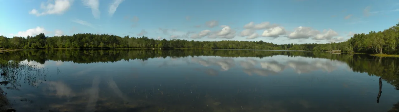 Clouds and the wooded shoreline reflected in the still water of Carbuncle Pond.