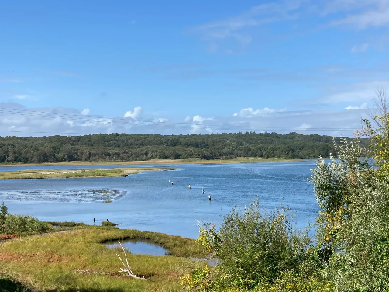 Marsh islands and open water at John H. Chafee National Wildlife Refuge.