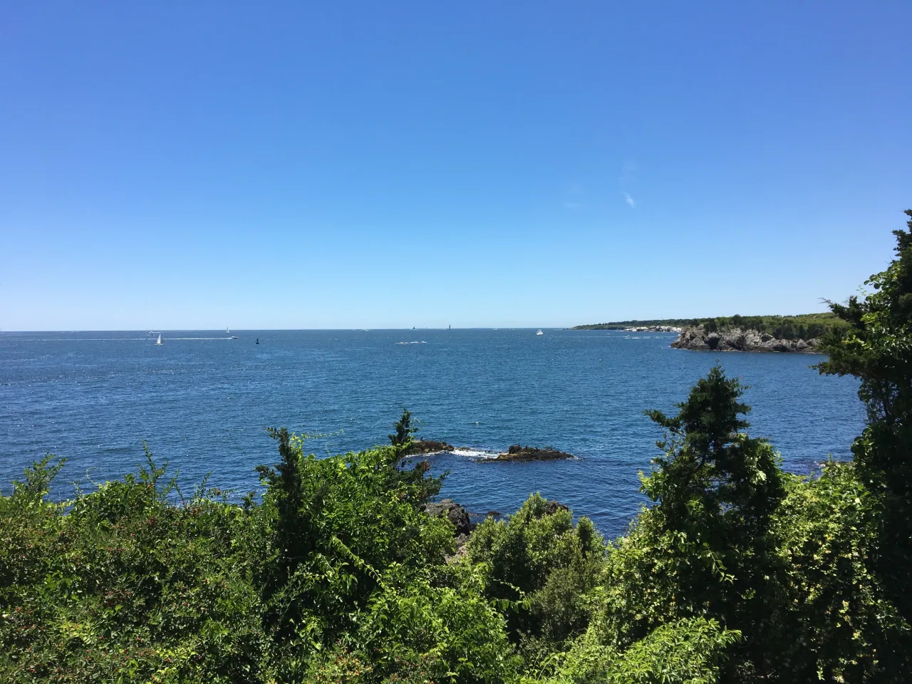 Blue water and rocky coastline seen through green shrubs from the cliffs beside Fort Wetherill.