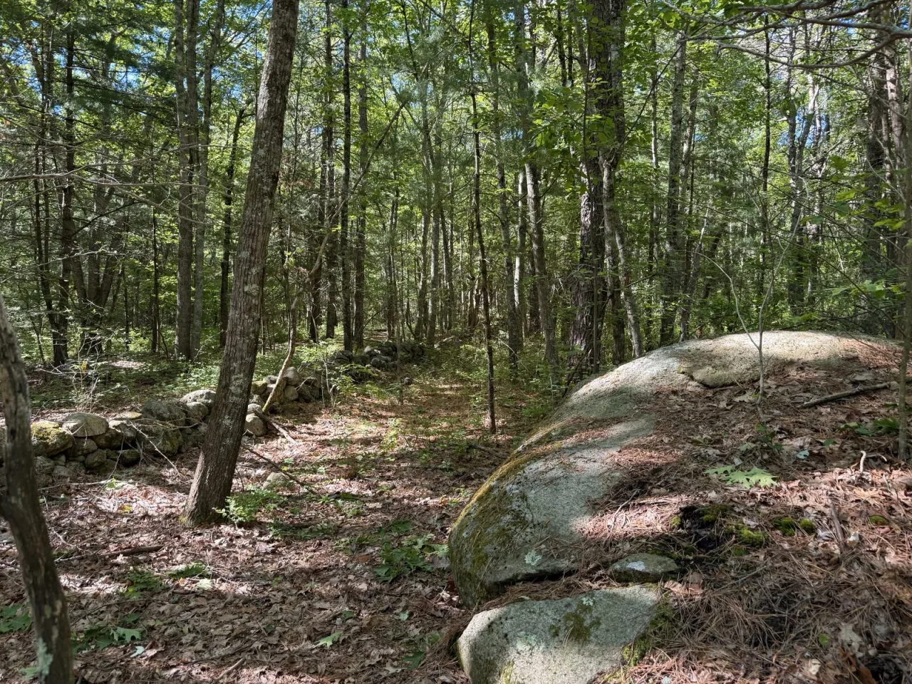 Green woodland and large boulders beside a low stone wall at JL Curran State Park.