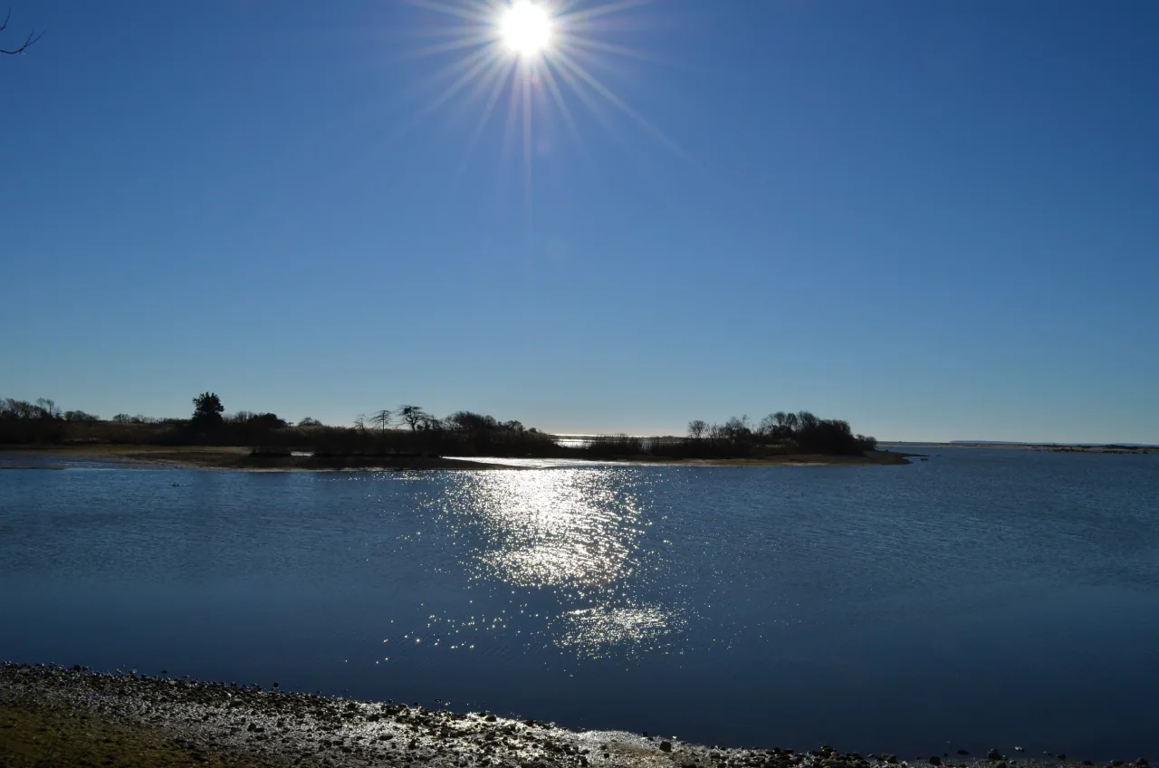 Bright sunlight reflects across Trustom Pond beyond a quiet shoreline.